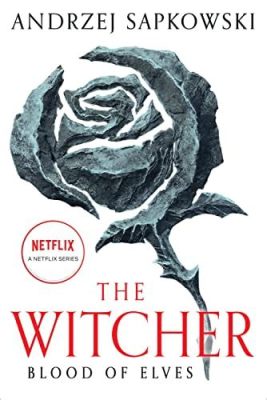 are the witcher books good? exploring the depth and impact of the witcher saga