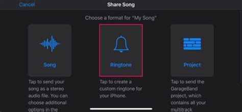 how to set ringtone on iphone 12 from music library and why we should choose the most memorable melody for our daily life notifications