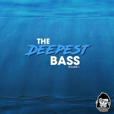 what is bass in music? the role of bass in creating emotional depth